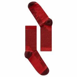 Classic Thermal Socks -Baratza store dhb Classic Thermal Sock Socks Bordeaux AW22 VG0217BORDEAUXUK2 5 3